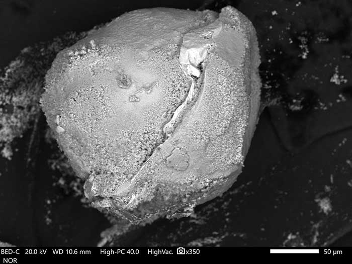 microscopia elettronica a scansione sem 11