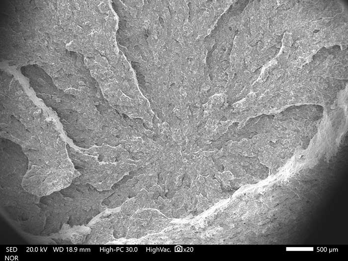 microscopia elettronica a scansione sem 7