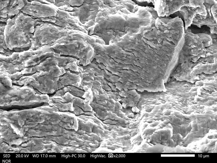 microscopia elettronica a scansione sem 8