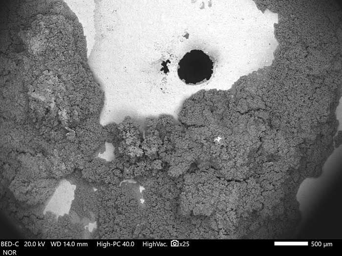 microscopia elettronica a scansione sem 9